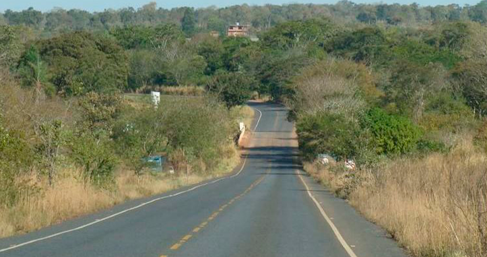 Para evitar morte de animais, ONGs pedem intervenção do MPE-MS em licitação para obras de rodovias