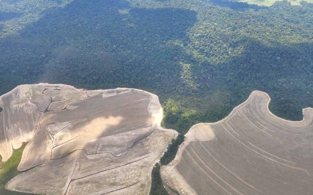 O Arco do Desmatamento: A maior ameaça à Amazônia