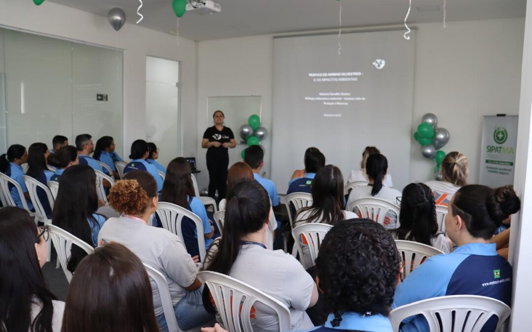 Educação ambiental que ultrapassa as fronteiras do ambiente escolar