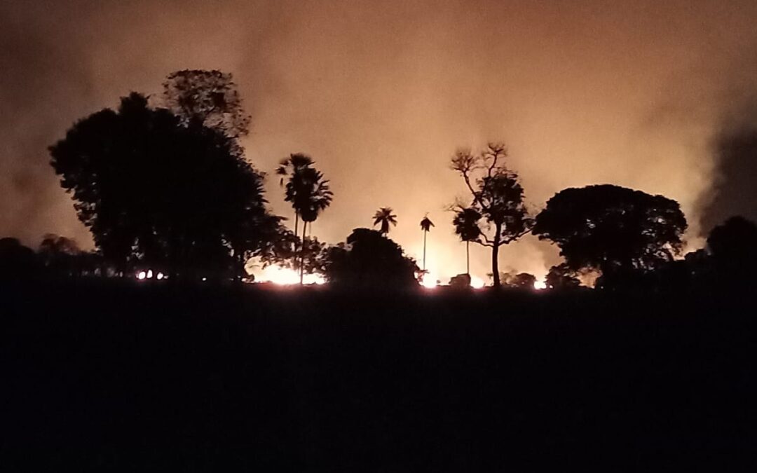 Queimadas no Pantanal: o bioma pede socorro