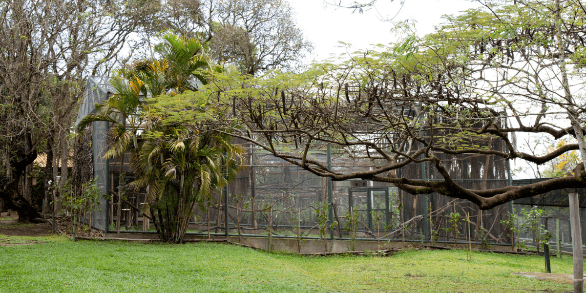 Instituto Libio e sua conexão com a natureza