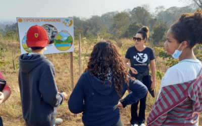 Educação ambiental: um direito, uma urgência e um caminho para proteger o futuro