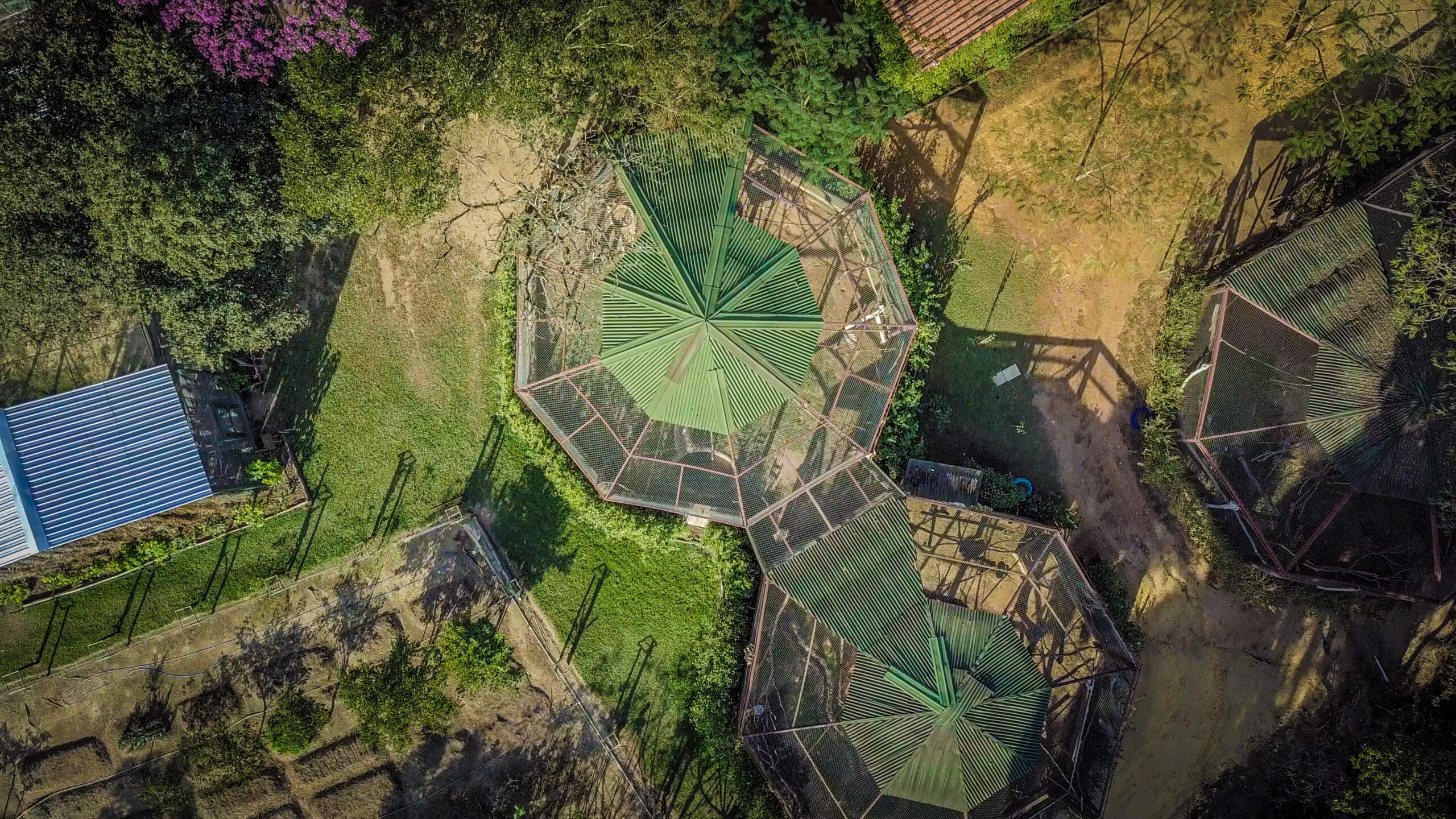 Estrutura do Instituto Libio vista por drone