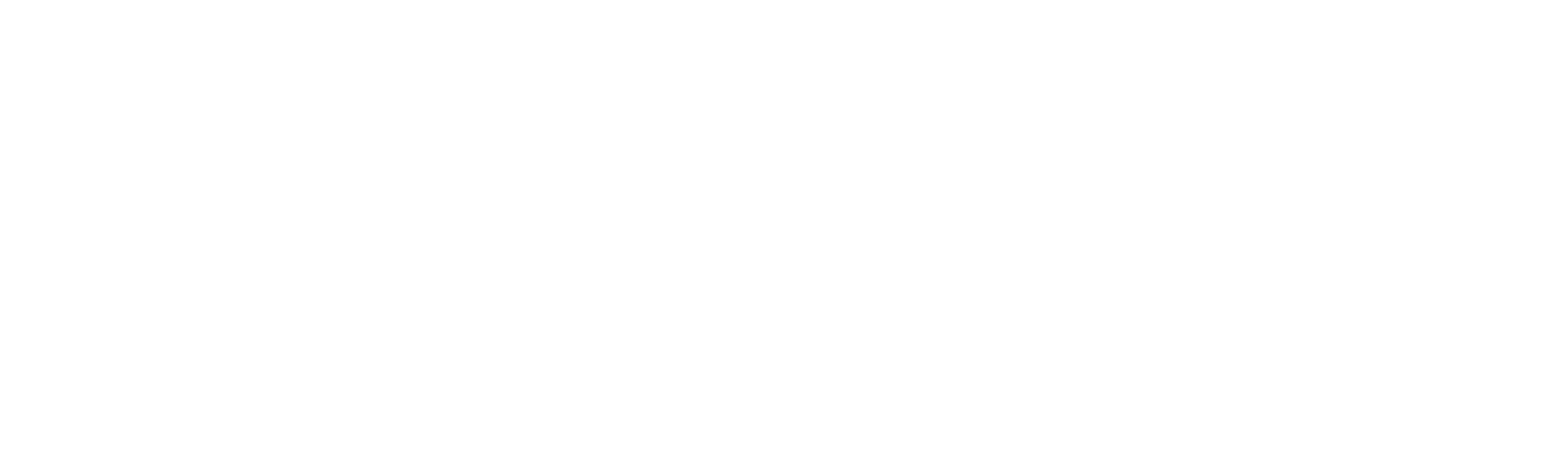 Instituto Ampara Animal