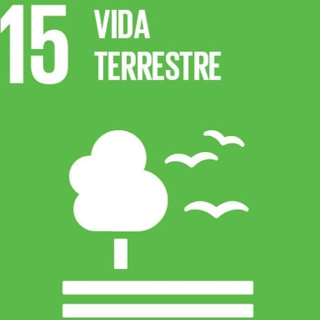Objetivo de Desenvolvimento Sustentável 15: Vida Terrestre